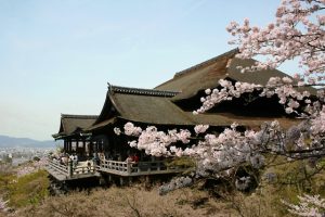 春の清水寺と桜写真