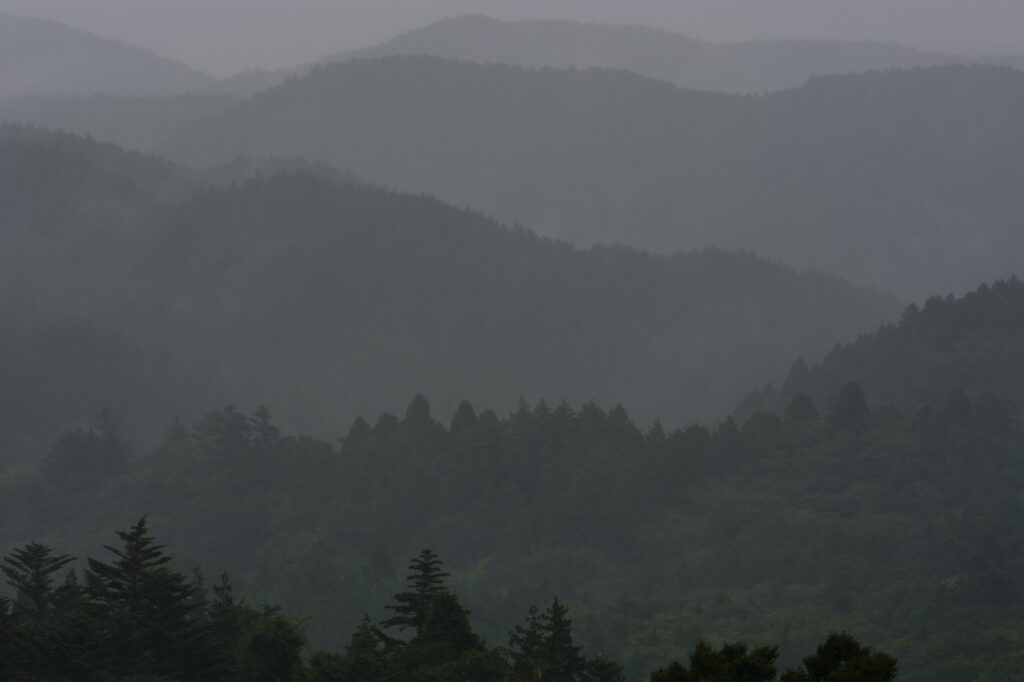 雨に煙る山