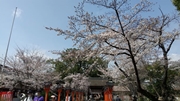 平野神社